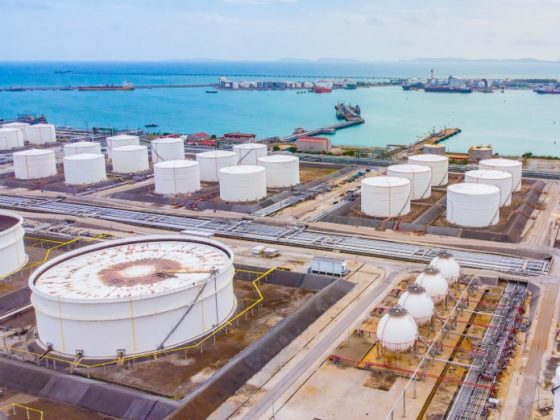 Stronger Indian imports in 2024 could continue with additional terminal capacity – Week 42 2024